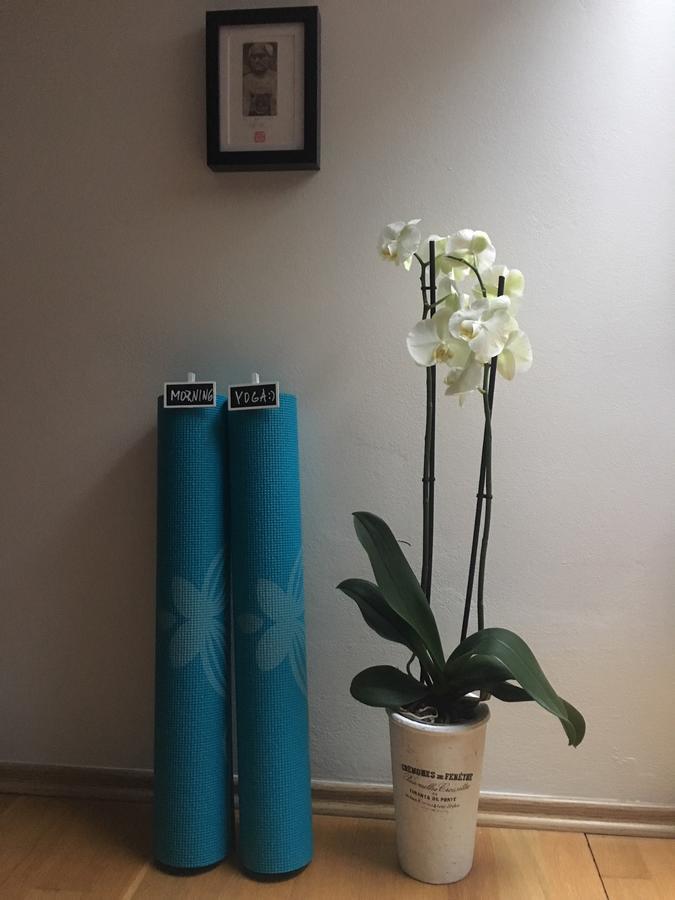 Amazing Angie'S Apartment Praha Bagian luar foto